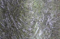 Elvington fibreglass roof work